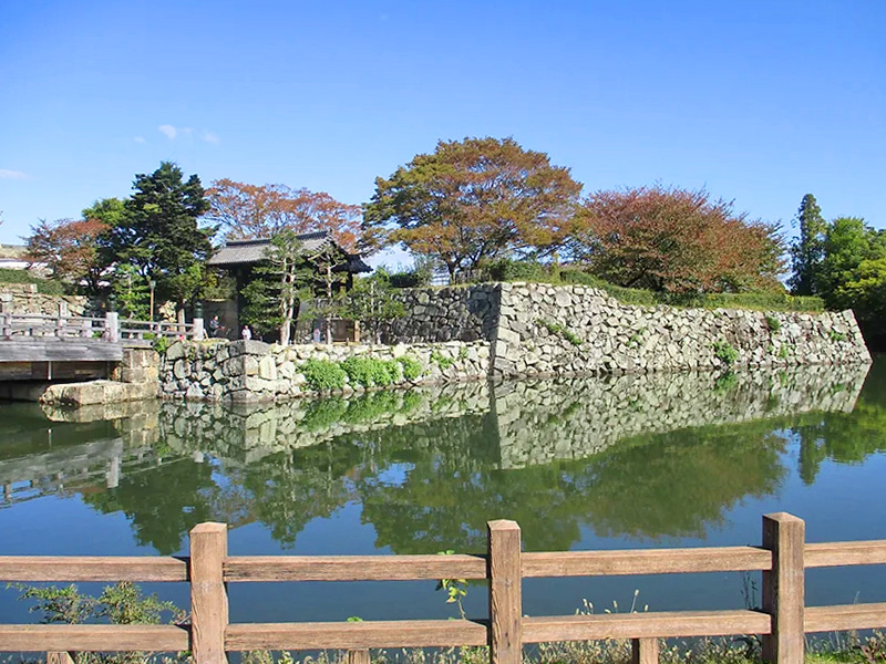 兵庫県