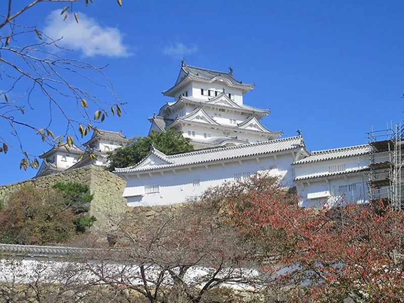 兵庫県