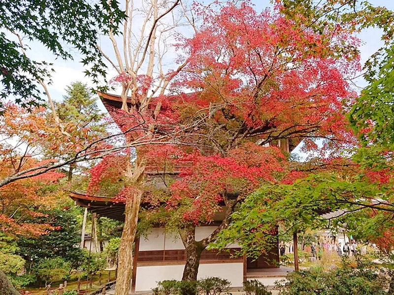 京都府