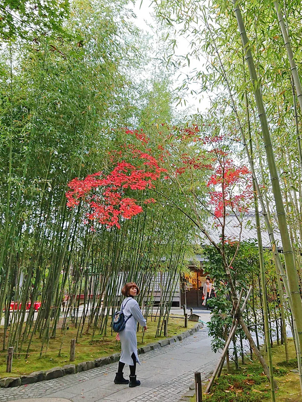京都府