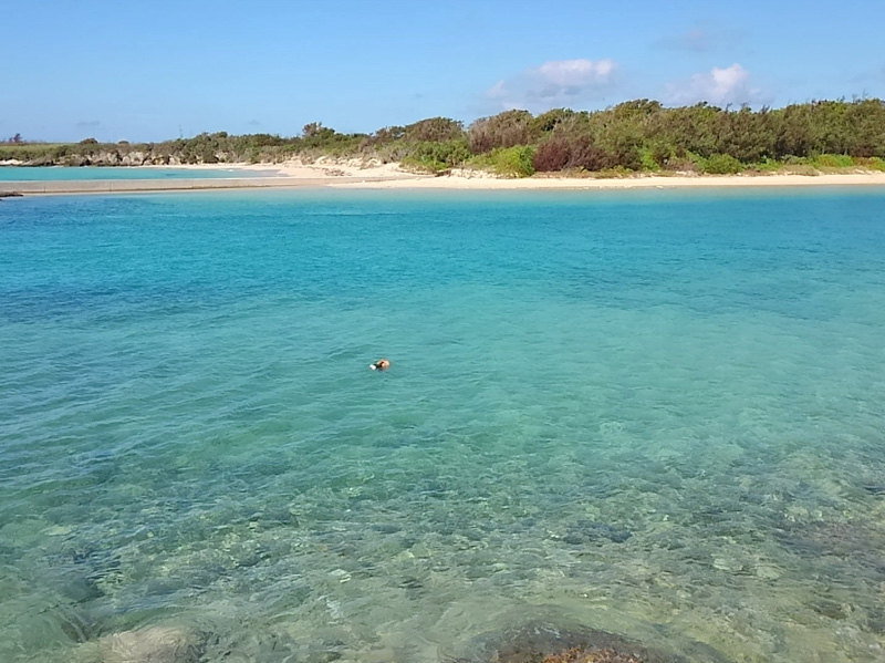 伊良部島